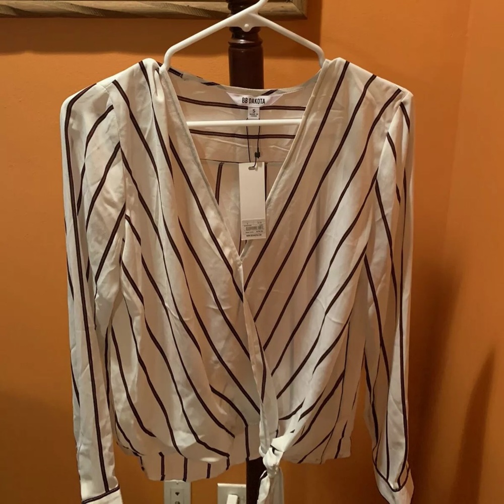 BB Dakota V- Neck Crop Top with Stripes